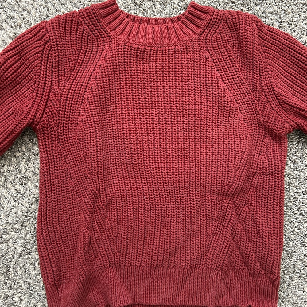 Everlane chunky knit sweater